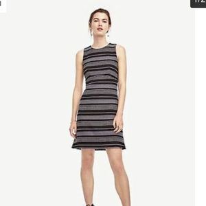 Fun tweed stripe fit & flare dress